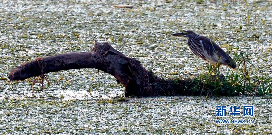 河南汝陽(yáng):碧水藍(lán)天 和諧之美 河南汝陽(yáng):碧水藍(lán)天 和諧之美