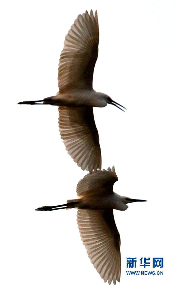 河南汝陽(yáng):碧水藍(lán)天 和諧之美