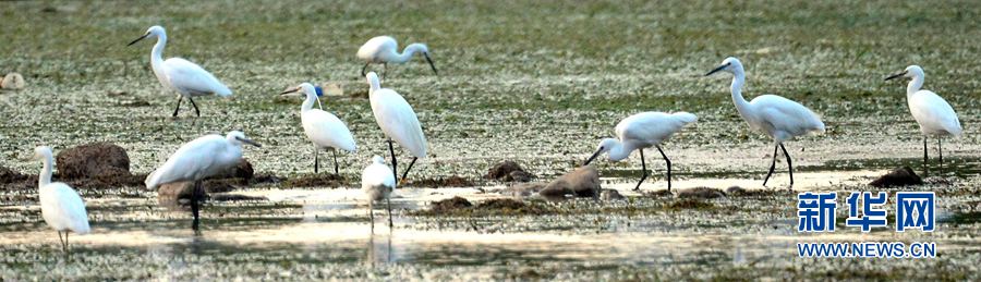 河南汝陽(yáng):碧水藍(lán)天 和諧之美 河南汝陽(yáng):碧水藍(lán)天 和諧之美