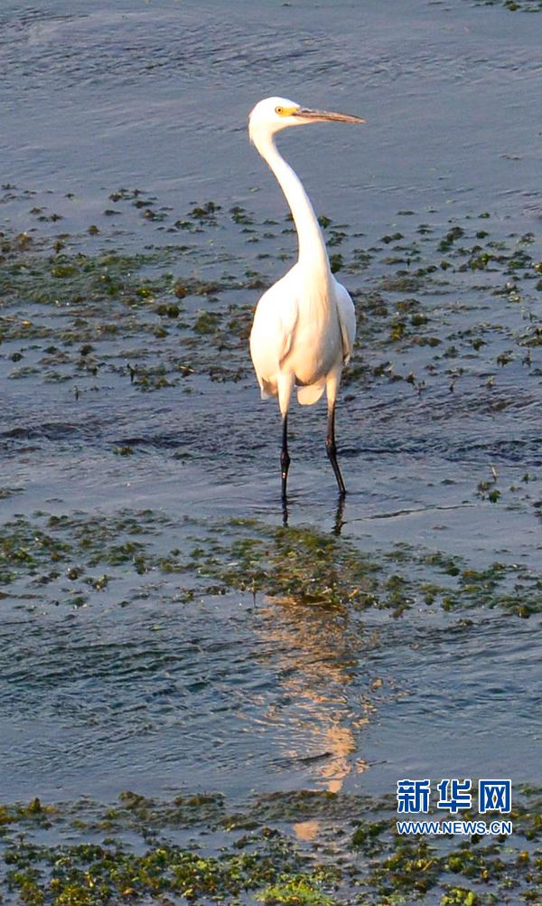 河南汝陽(yáng):碧水藍(lán)天 和諧之美