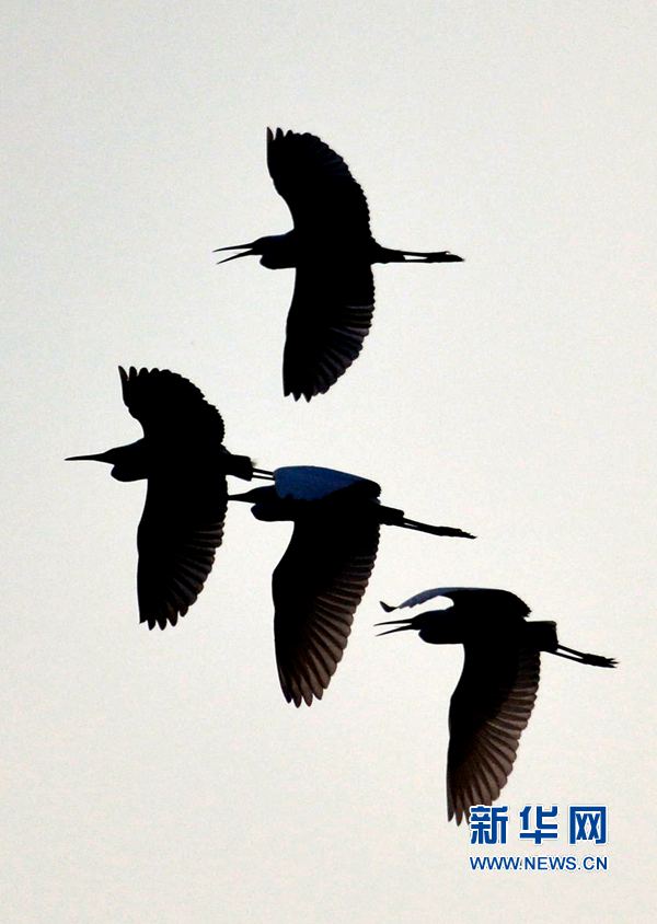 河南汝陽(yáng):碧水藍(lán)天 和諧之美