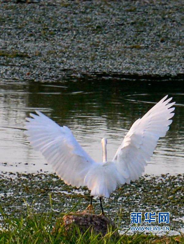 河南汝陽(yáng):碧水藍(lán)天 和諧之美