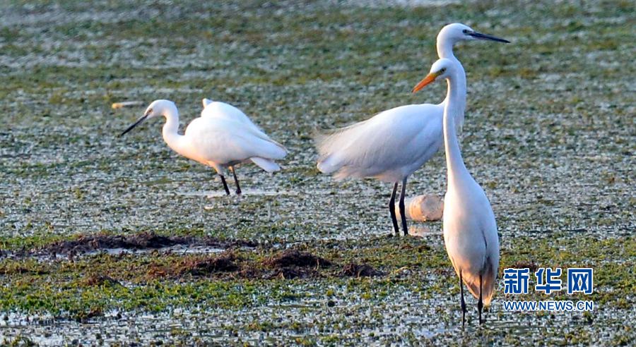 河南汝陽(yáng):碧水藍(lán)天 和諧之美 河南汝陽(yáng):碧水藍(lán)天 和諧之美
