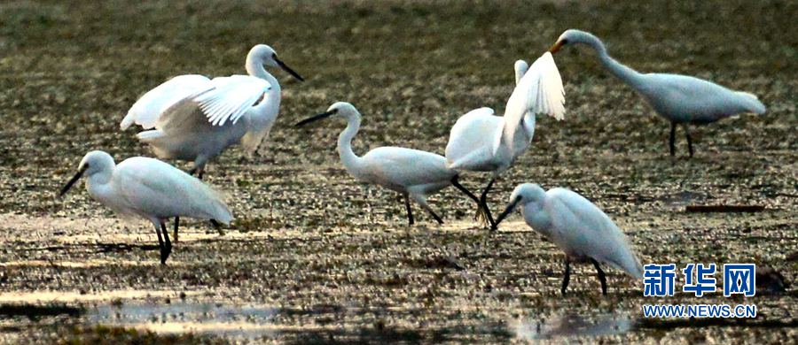 河南汝陽(yáng):碧水藍(lán)天 和諧之美 河南汝陽(yáng):碧水藍(lán)天 和諧之美