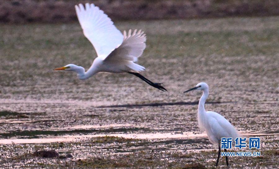 河南汝陽(yáng):碧水藍(lán)天 和諧之美 河南汝陽(yáng):碧水藍(lán)天 和諧之美