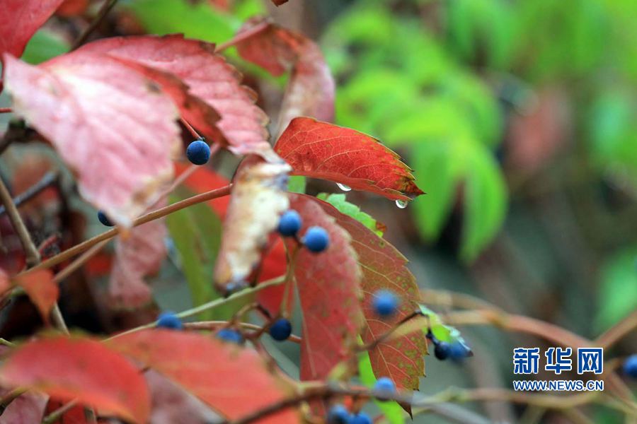 �_��:һ���������~�S