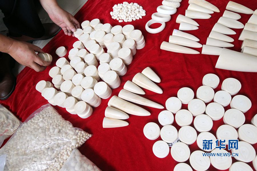 河南許昌查獲象牙制品207.4公斤 河南許昌查獲象牙制品207.4公斤