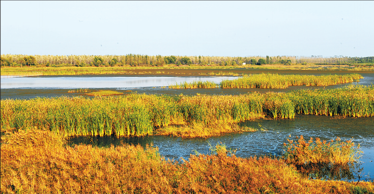 �������S�ӝ�؁��������