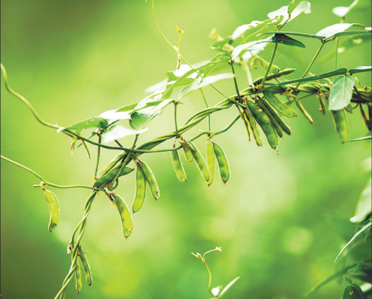 �������S�ӝ�؁��������