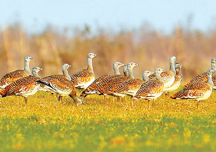 �������S�ӝ�؁��������