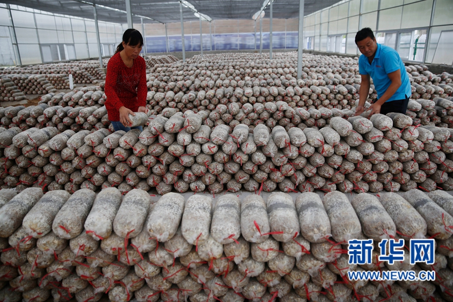 ���ό��S:��ɫ�r(n��ng)�I(y��)��������