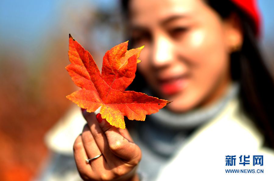 ��������:��Ҋ���~�h�t�r(sh��)