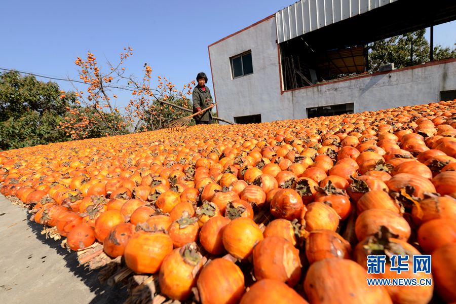 �����������f����������D