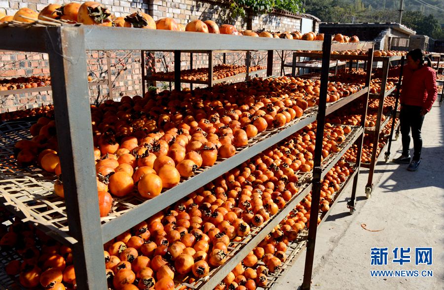 �����������f����������D