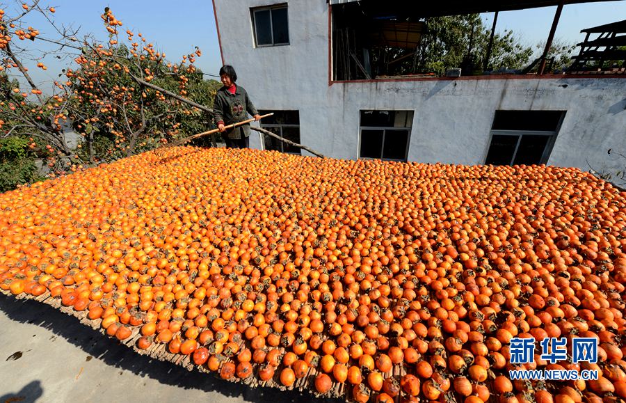 �����������f����������D