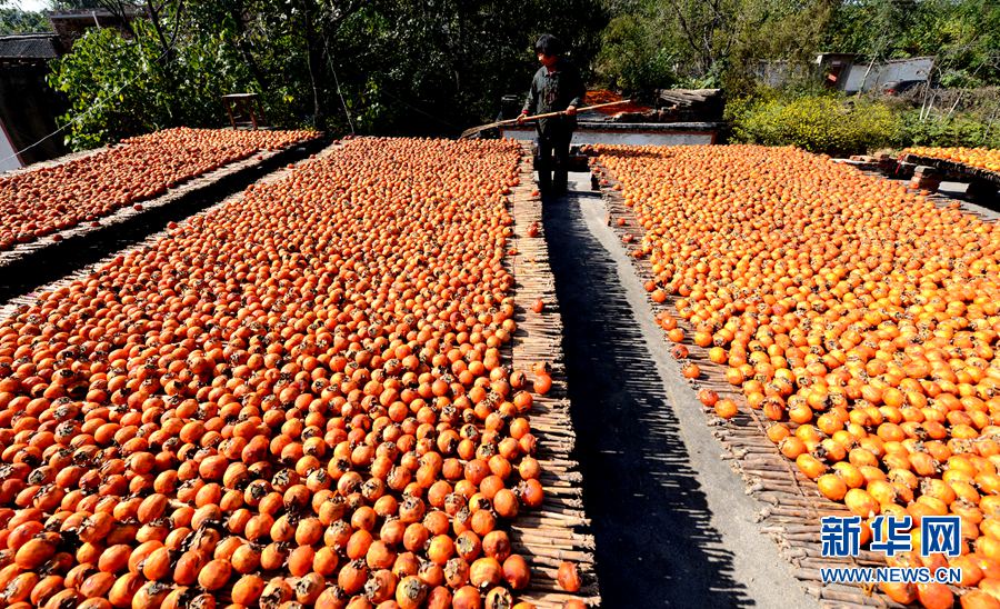 �����������f����������D