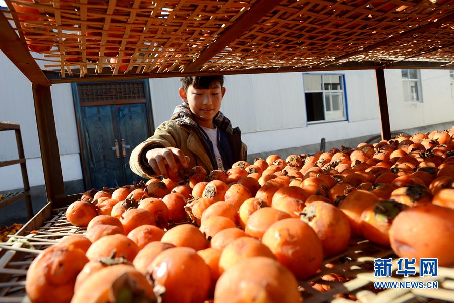 �����������f����������D