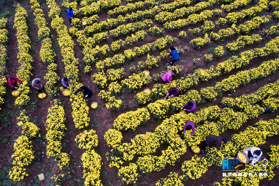 ����ؘ�(l��)�¡��ŷ�ɽ��ؕ����