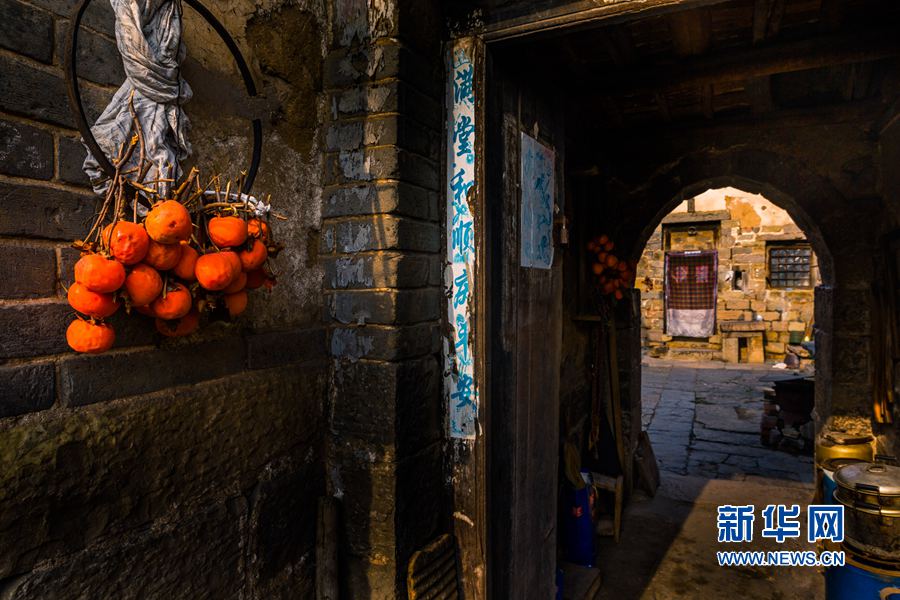 �Q��:С�������һȺ�zӰ��