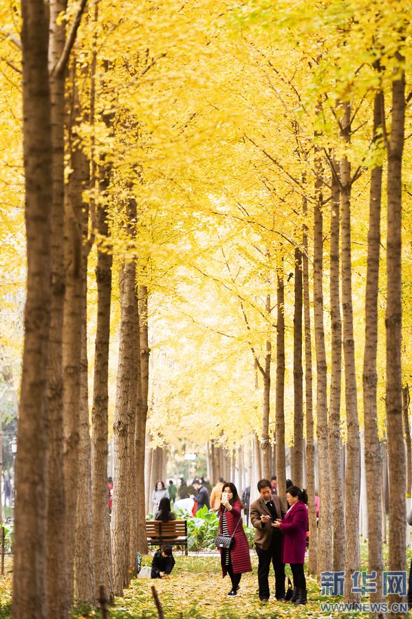 �����y���S