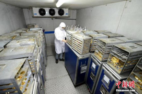 �������w�C(j��)��֪�@Щ����������`�ÿ�ʳ�����M(f��i)