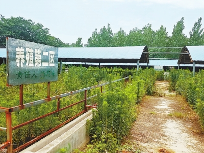 �L�������ִ��ؚ�(xi��ng)Ŀ��;���U �B(y��ng)ֳ�r(n��ng)��Ѫ���o�w