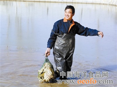 �괨���~�B(y��ng)ֳ���M���ի@��ϲ��