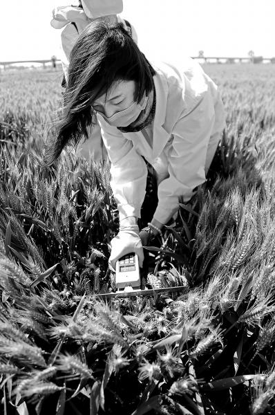 �W(w��ng)�џ��h���ƵZ�^�M(j��n)�����ꡱ����ԥ��ԥ�� �Q��ȫ��С��