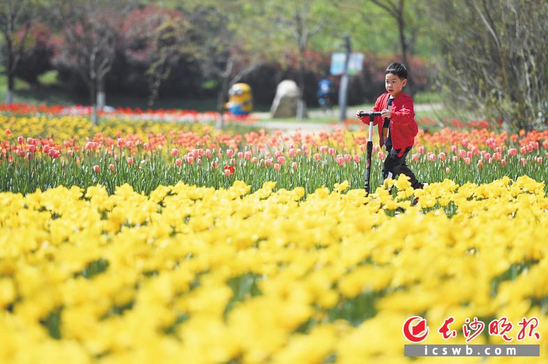 �����L(zh��ng)ɳ�@�����B(t��i)�@��(n��i)��һ����������܇��С���яĻ����д��ж��^(gu��)�� �S���� �z