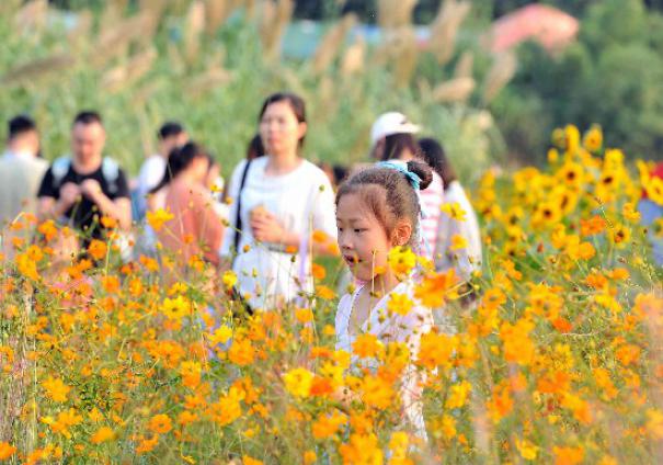 ���A���_�M���S������o������ǰ���p��������ʮ�����p����������DƬ�����Lɳ���ȫý�wӛ�� �R�ı� �z