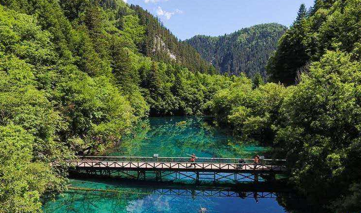 ���� ����.png