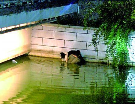 ����ˮ�����e���Ӑ�Ȯ��С�r �����T:������Ӿ