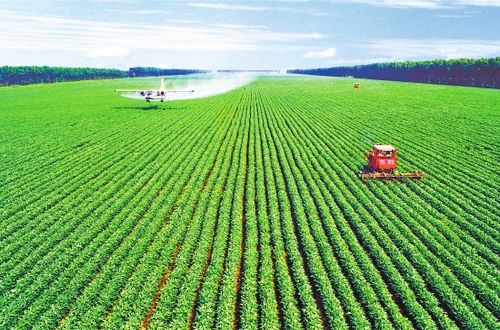 ������ʡ-һֻչ���v�w�����Z