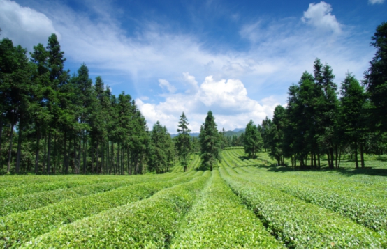 �I�蹝(ji��)��2021���������}�zӰ��(ji��)���冢��