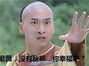 ����W(xu��)���~���㋌���㴩��ѝ ��ѝӢ����ô�f