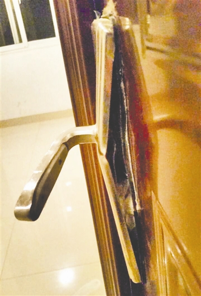 �T�i���Ɖ�