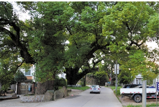  ��������@�ӵĹŘ�����Ҫ�߰˂��˲��ܭh(hu��n)����