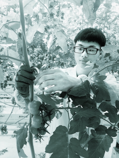 �����I(y��)�r(n��ng)����ʽ�ύ� 90���W(xu��)����ɶҪȥ��(d��ng)���r(n��ng)��