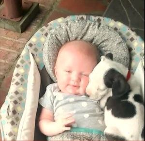 �������cС�냺���H����ģ�Ӝ�ܰ�ֿɐۣ��D��