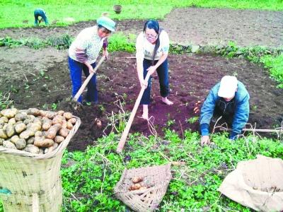 �c(di��n)���M(j��n)����һ�