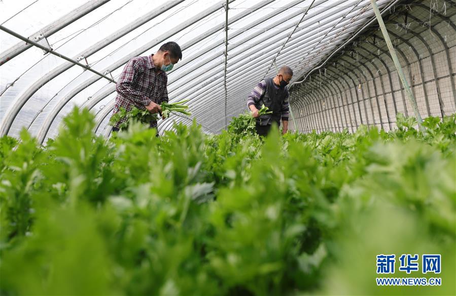 ����(j��ng)������1����ꖣ�����������a(ch��n)æ