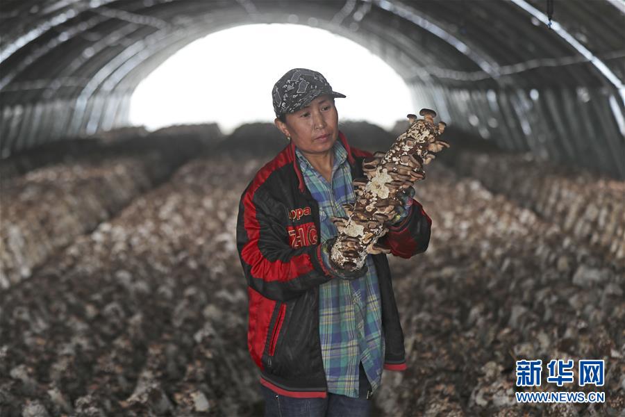 ����(j��ng)��(j��)����1���|���_(k��i)ԭ�����(xi��ng)�e����Óؚ