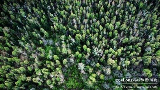 �G���[�d�P�c����ʮ��ɭ������