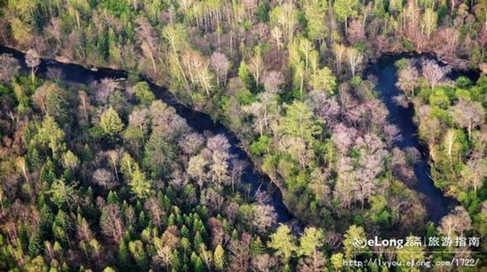 �G���[�d�P�c����ʮ��ɭ������