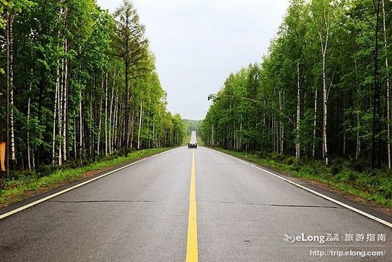 �G���[�d�P�c����ʮ��ɭ������