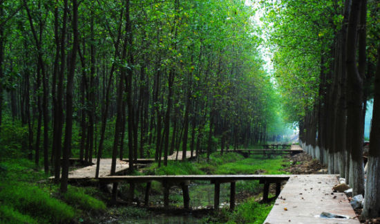 �I�����ɭ�ֹ��@