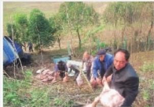 ���۰��L(zh��ng)̶��һ؛܇(ch��)��܇(ch��) �����԰l(f��)�\(y��n)�͵����i��