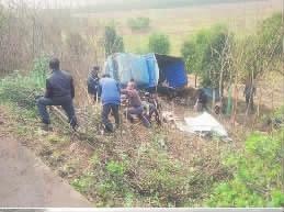 ���۰��L(zh��ng)̶��һ؛܇(ch��)��܇(ch��) �����԰l(f��)�\(y��n)�͵����i��