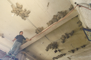 500��ֻ������늺�䁰���7���B�S����㉋�䣨�D��