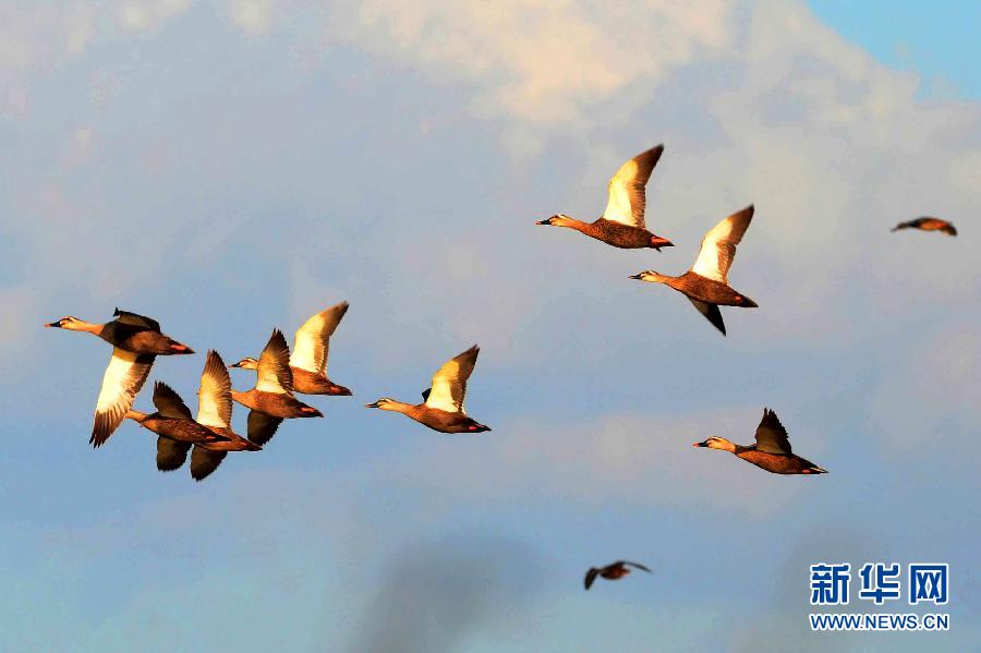 �����B(t��i)����2���z�|��u��ɽ��سɺ��B(ni��o)Խ������